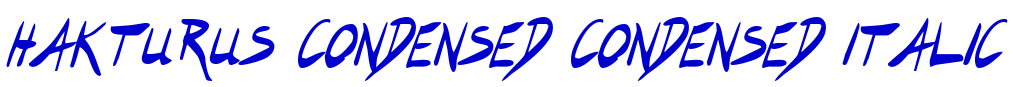 Hakturus Condensed Condensed Italic police de caractère
